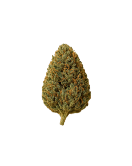 Cherry Oregon (Flores aromáticas de CBD) 10 gr