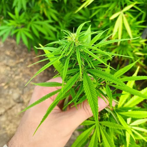 b1585e5e-be48-4d8f-bca9-b34675bcbd72